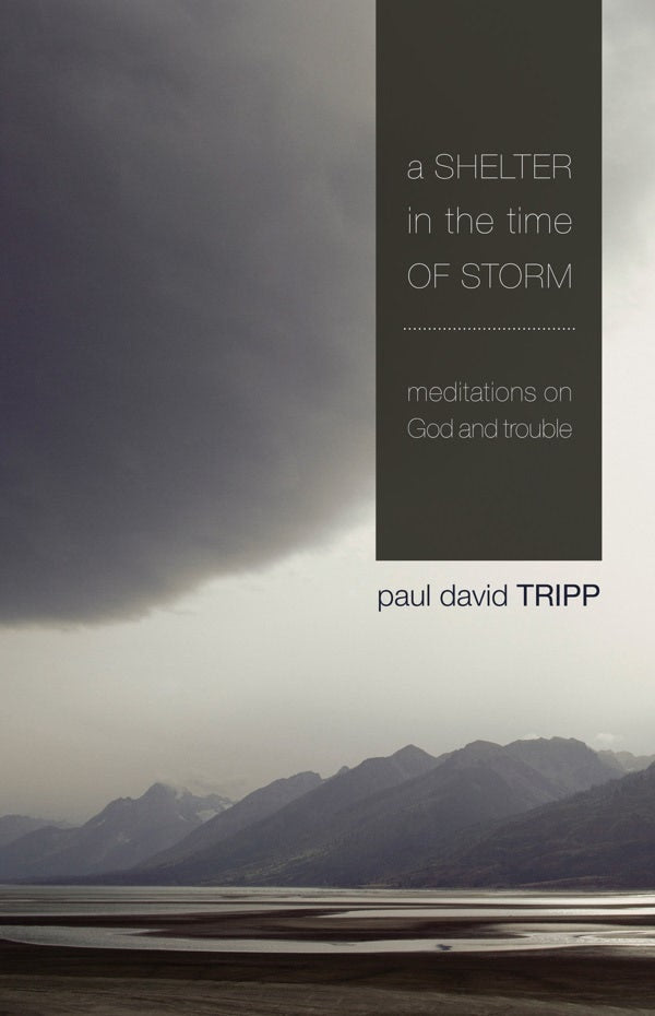 Cover image for A Shelter in the Time of Storm, isbn: 9781433505980