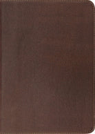 Cover image for Study Bible-ESV, isbn: 9781433521782