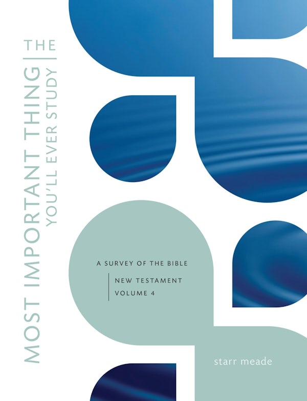 Cover image for The Most Important Thing You'll Ever Study, isbn: 9781433527012