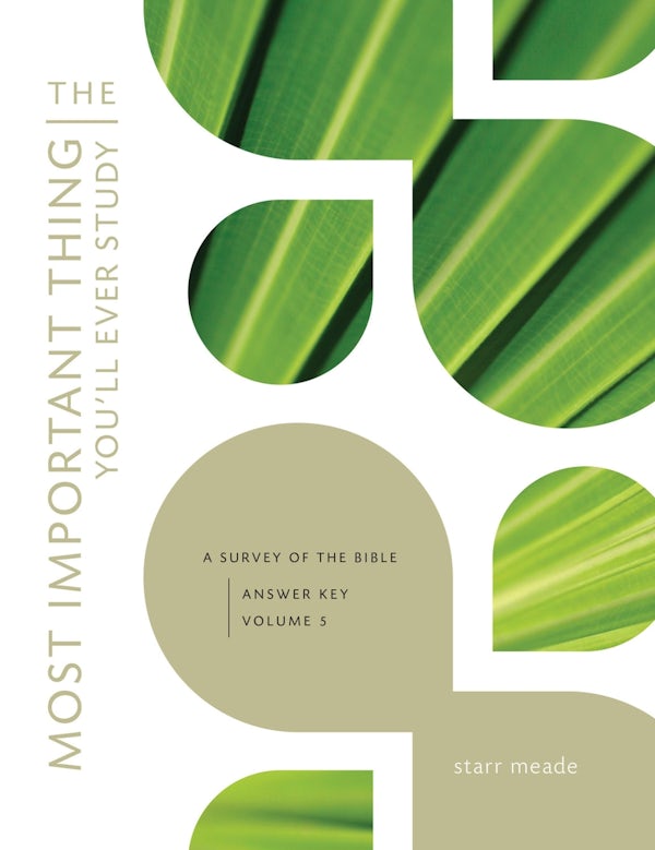 Cover image for The Most Important Thing You'll Ever Study, isbn: 9781433527029