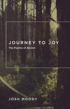 Cover image for Journey to Joy, isbn: 9781433534973