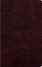 Cover image for Large Print Personal Size Bible-ESV, isbn: 9781433541537