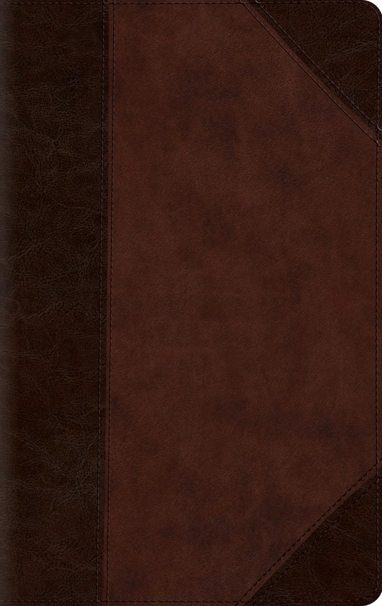 Cover image for Large Print Compact Bible-ESV-Portfolio Design, isbn: 9781433541551