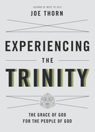 Cover image for Experiencing the Trinity, isbn: 9781433541681