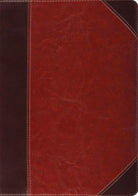 Cover image for Study Bible-ESV-Portfolio Design, isbn: 9781433544040