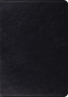 Cover image for Study Bible-ESV, isbn: 9781433544064