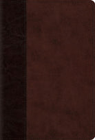 Cover image for Psalms-ESV-Timeless Design, isbn: 9781433544200