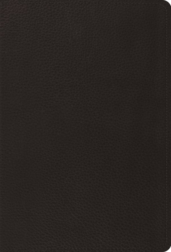 Cover image for Psalms-ESV, isbn: 9781433544224