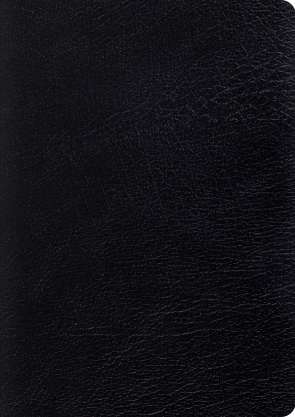 Cover image for Study Bible-ESV-Large Print, isbn: 9781433544316