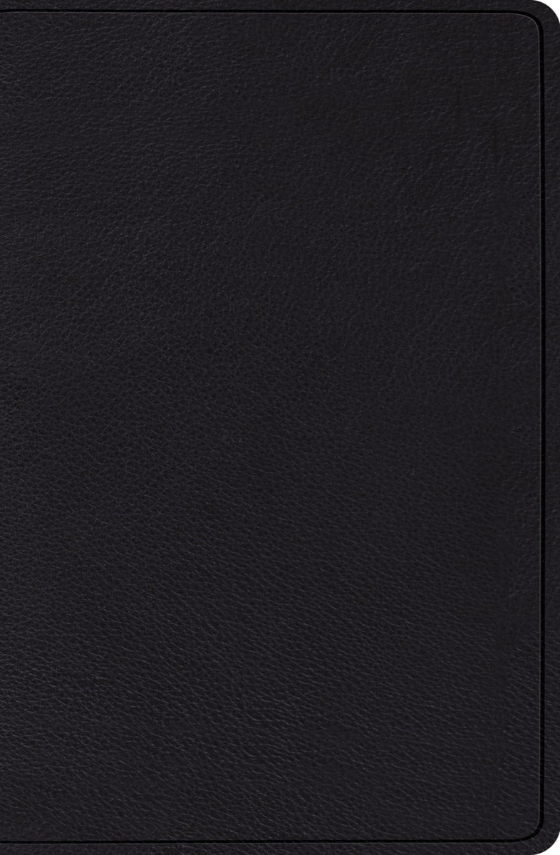 Cover image for Verse-By-Verse Reference Bible-ESV, isbn: 9781433545689