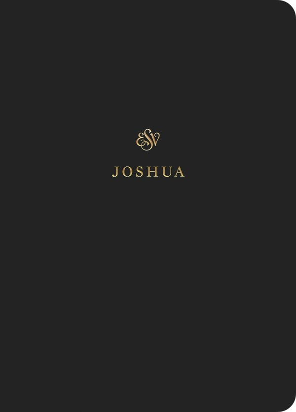 Cover image for ESV Scripture Journal, isbn: 9781433546358