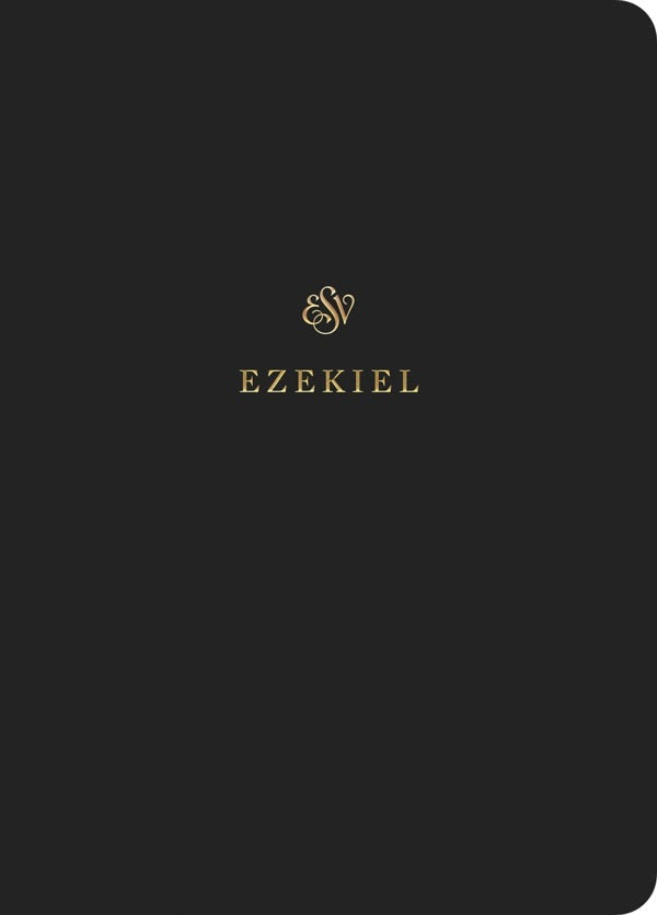 Cover image for ESV Scripture Journal, isbn: 9781433546624