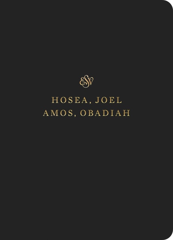 Cover image for ESV Scripture Journal, isbn: 9781433546655