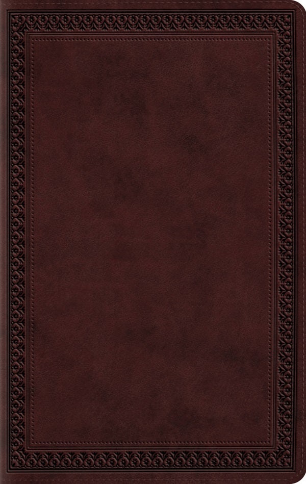 Cover image for Large Print Value Thinline Bible-ESV-Border Design, isbn: 9781433550294