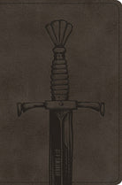 Cover image for Compact Bible-ESV-Silver Sword, isbn: 9781433551383