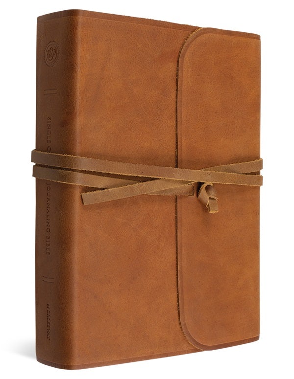 Cover image for Journaling Bible-ESV, isbn: 9781433553165