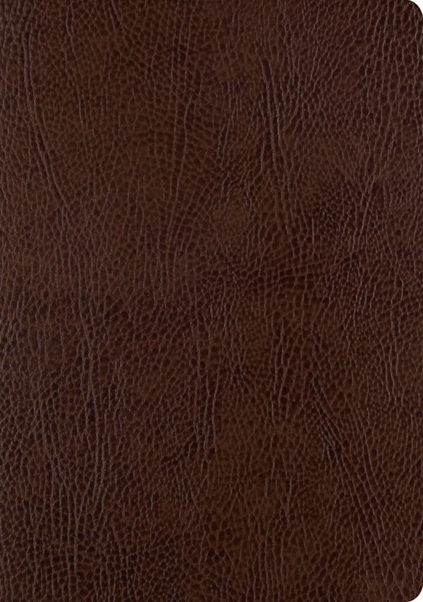 Cover image for ESV Single Column Journaling Bible, Large Print (Mocha), isbn: 9781433555381