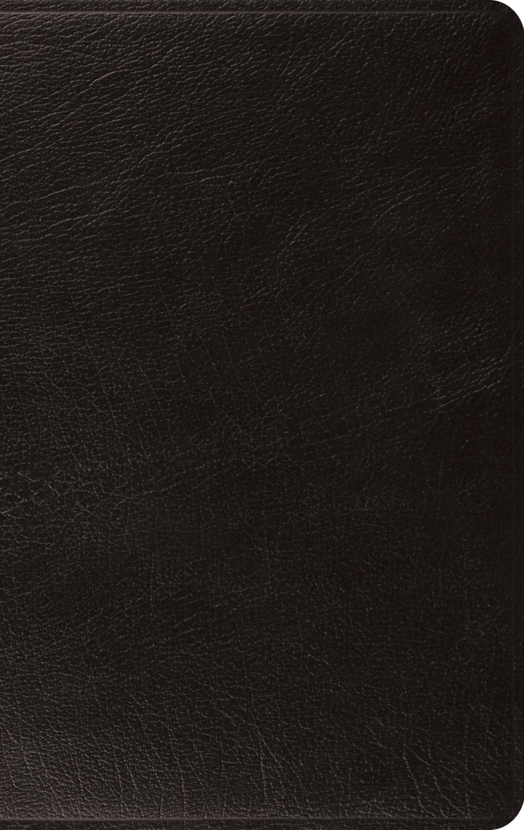 Cover image for ESV Large Print Thinline Bible (Black), isbn: 9781433555961