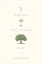 Cover image for How Does Sanctification Work?, isbn: 9781433556104