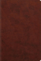 Cover image for ESV Student Study Bible (Trutone, Chestnut), isbn: 9781433556258