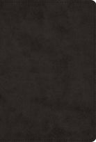 Cover image for The Greek New Testament, Produced at Tyndale House, Cambridge (Trutone, Black), isbn: 9781433558566