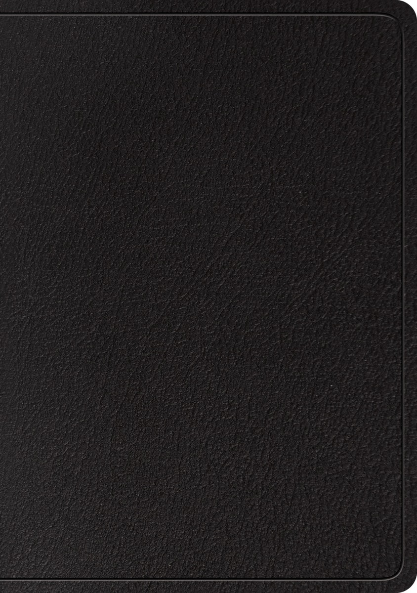 Cover image for ESV Large Print Wide Margin Bible (Black), isbn: 9781433561955