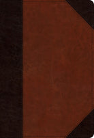 Cover image for ESV Student Study Bible (Trutone, Brown/Cordovan, Portfolio Design), isbn: 9781433564475
