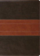 Cover image for ESV Study Bible, Large Print (Trutone, Forest/Tan, Trail Design), isbn: 9781433564727
