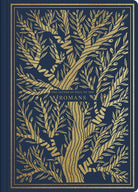 Cover image for ESV Illuminated Scripture Journal: Romans, isbn: 9781433564819