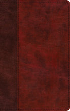 Cover image for ESV Large Print Thinline Bible (Trutone, Burgundy/Red, Timeless Design), isbn: 9781433566820