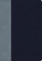 Cover image for ESV Student Study Bible (Trutone, Navy/Slate, Timeless Design), isbn: 9781433566981
