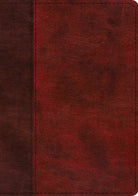 Cover image for ESV Single Column Journaling Bible, Large Print (Trutone, Burgundy/Red, Timeless Design), isbn: 9781433568732