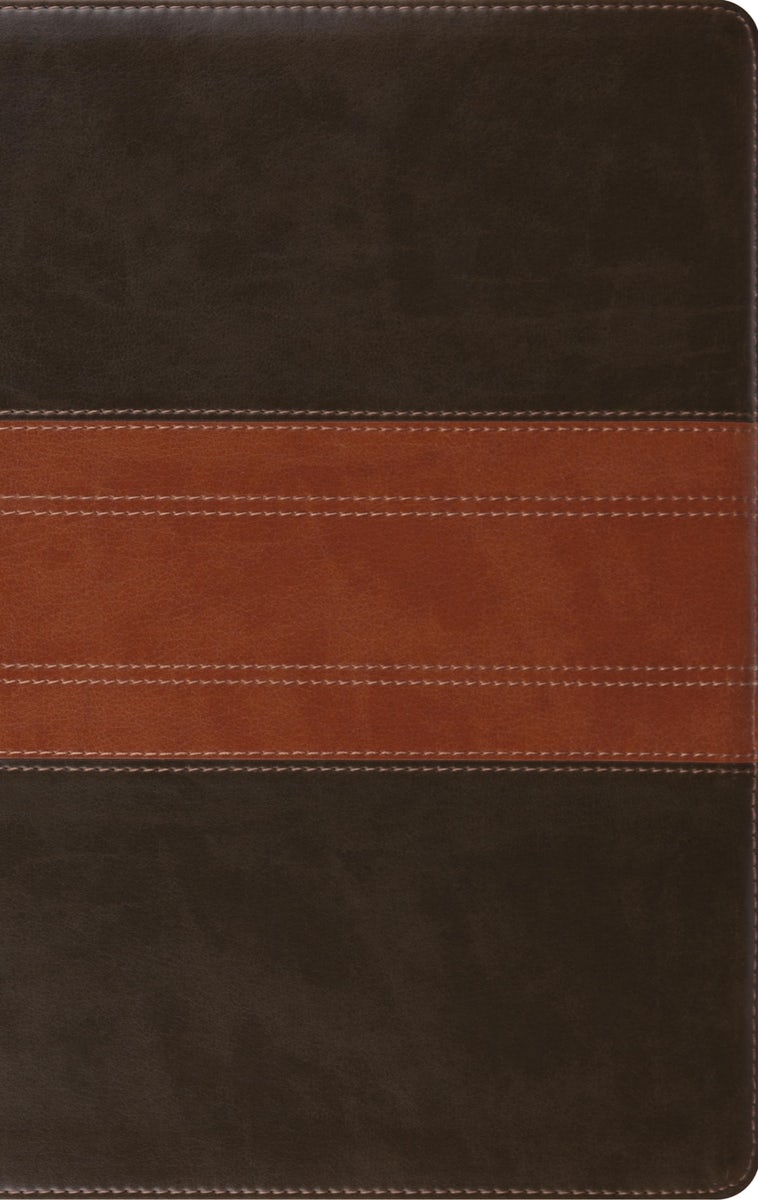 Cover image for ESV Large Print Personal Size Bible (Trutone, Forest/Tan, Trail Design), isbn: 9781433568770