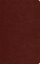 Cover image for ESV Pocket Bible (Trutone, Chestnut), isbn: 9781433568848