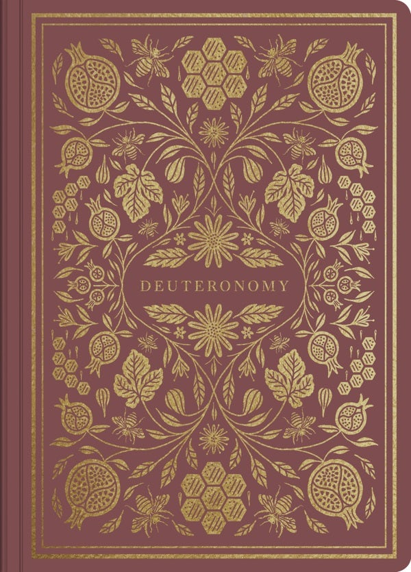 Cover image for Deuteronomy, isbn: 9781433569296