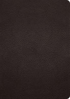 Cover image for ESV Study Bible (Buffalo Leather, Deep Brown), isbn: 9781433575921
