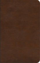 Cover image for ESV Concise Study Bible(tm) (Trutone, Brown), isbn: 9781433577932