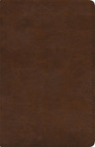 Cover image for ESV Spanish/English Parallel Bible (La Santa Biblia Rvr 1960 / The Holy Bible Esv, Trutone, Brown), isbn: 9781433579660