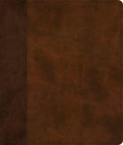 Cover image for ESV Journaling Bible (Trutone, Brown/Tan, Timeless Design), isbn: 9781433579714