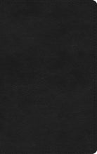 Cover image for La Santa Biblia Rvr 1960, Tamaño Delgado (Trutone, Negro), isbn: 9781433582448
