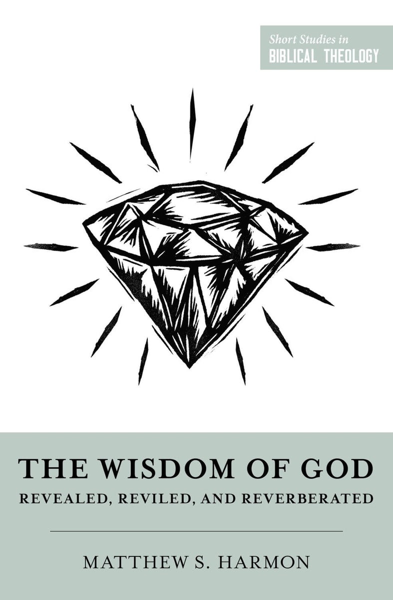 Cover image for The Wisdom of God, isbn: 9781433584374