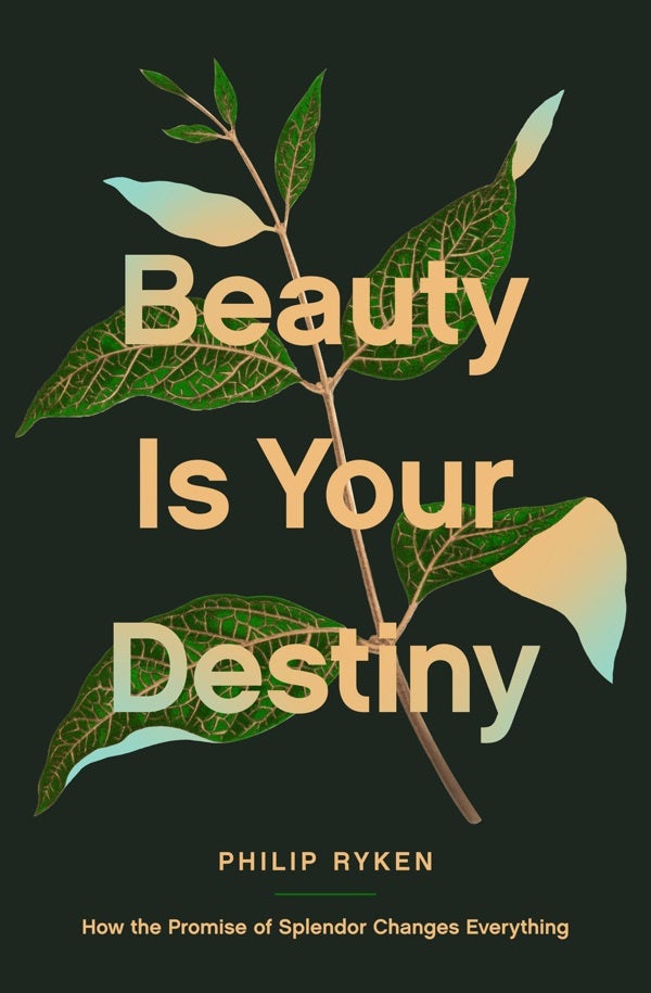 Cover image for Beauty Is Your Destiny, isbn: 9781433587726