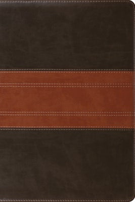 Cover image for ESV Study Bible, Personal Size (Trutone, Forest/Tan, Trail Design), isbn: 9781433588556