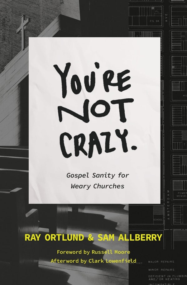 Cover image for You're Not Crazy, isbn: 9781433590573