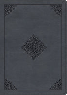 Cover image for ESV Large Print Wide Margin Bible (Trutone, Slate Blue, Ornament Design), isbn: 9781433593154