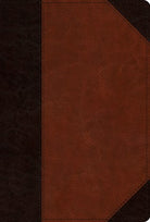 Cover image for ESV Men's Study Bible (Trutone, Brown/Cordovan, Portfolio Design), isbn: 9781433593161