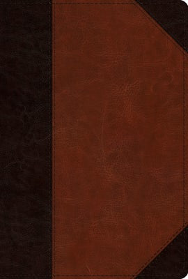 Cover image for ESV Men's Study Bible (Trutone, Brown/Cordovan, Portfolio Design), isbn: 9781433593161