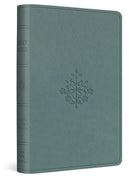 Cover image for ESV Value Compact Bible (Trutone, Paris Sky, Branch Design), isbn: 9781433593208