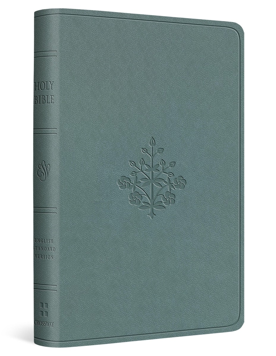 Cover image for ESV Value Compact Bible (Trutone, Paris Sky, Branch Design), isbn: 9781433593208