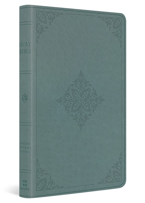 Cover image for ESV Value Thinline Bible (Trutone, Paris Sky, Fleur-De-Lis Design), isbn: 9781433595660